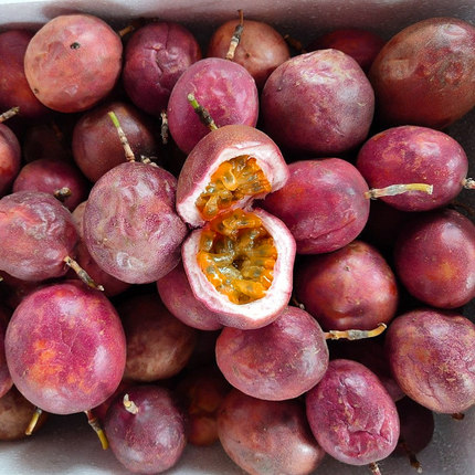 确认过眼神,是你无法拒绝的北流人天艺百香果